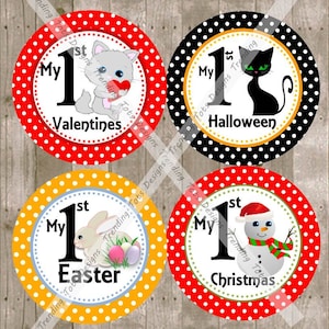 Baby Monthly Milestone Stickers - Baby First Holiday Stickers - Holiday Milestone Stickers - Holiday Monthly Stickers 4 Baby Monthly Holiday