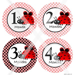 Baby Monthly Milestone Stickers – Baby Girl – Lady Bug – Baby Girl Month Baby Stickers
