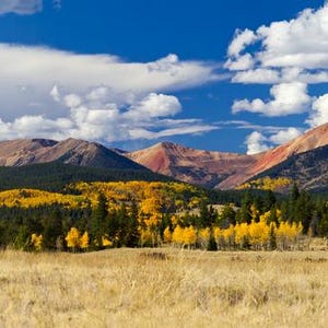 May include: A scenic panorama of a mountain range under a bright blue sky with white clouds. The foreground shows a field of dry, golden grass, with a forest of green and yellow trees at the base of the mountains.