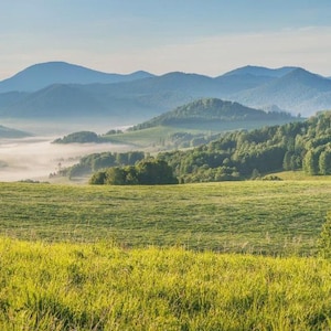May include: A wide shot of a green field with rolling hills and mountains in the background. The sky is a pale blue, and a light mist hangs in the valleys. Trees are scattered across the landscape, creating a peaceful, natural vista.