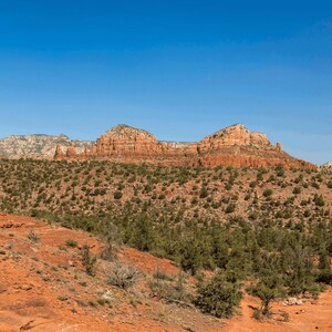 May include: A panoramic view of a desert landscape under a clear blue sky. The foreground shows red rock formations and a dirt path. The mid-ground is covered in green shrubs and trees, with layered red and tan rock mountains in the background.