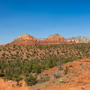 May include: A wide shot of a desert vista under a bright blue sky. The image shows red rock formations, green shrubs, and a dirt track. The landscape is rough and extensive, with diverse shades of red and brown.