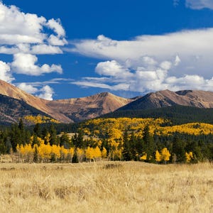 May include: A panoramic view of a mountain range under a bright blue sky with fluffy white clouds. The foreground shows a field of dry, golden grass, with evergreen and yellow trees at the base of the mountains.