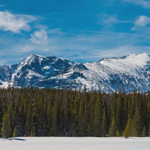 May include: A scenic panorama of snow-covered mountains under a clear blue sky with fluffy clouds. A dense forest of evergreen trees is at the base of the mountains, with a snow-covered expanse in the foreground.