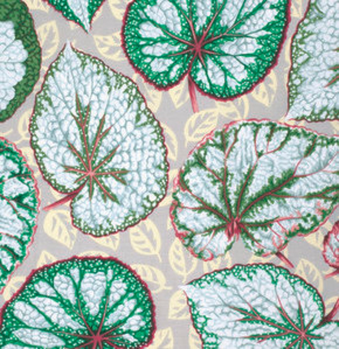 Big Leaf Natural Kaffe Fassett - Etsy