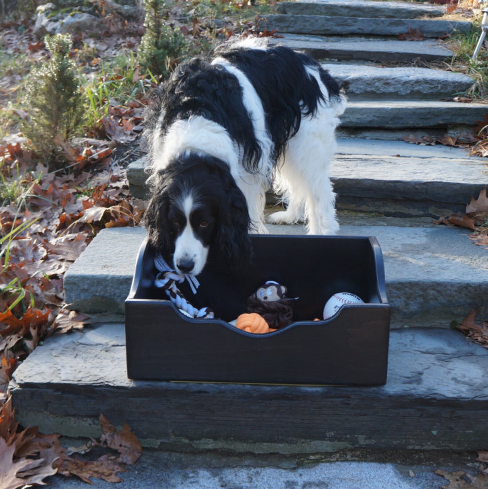 Handcrafted Heavy Duty Dog Toy Box 20 long Cat Bin Etsy