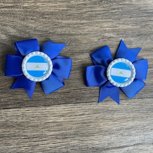 Handcrafted Nicaraguan ?? Hair Clip Mexican Handmade Modern Decorative Hair Clips | CoLores  main image 3