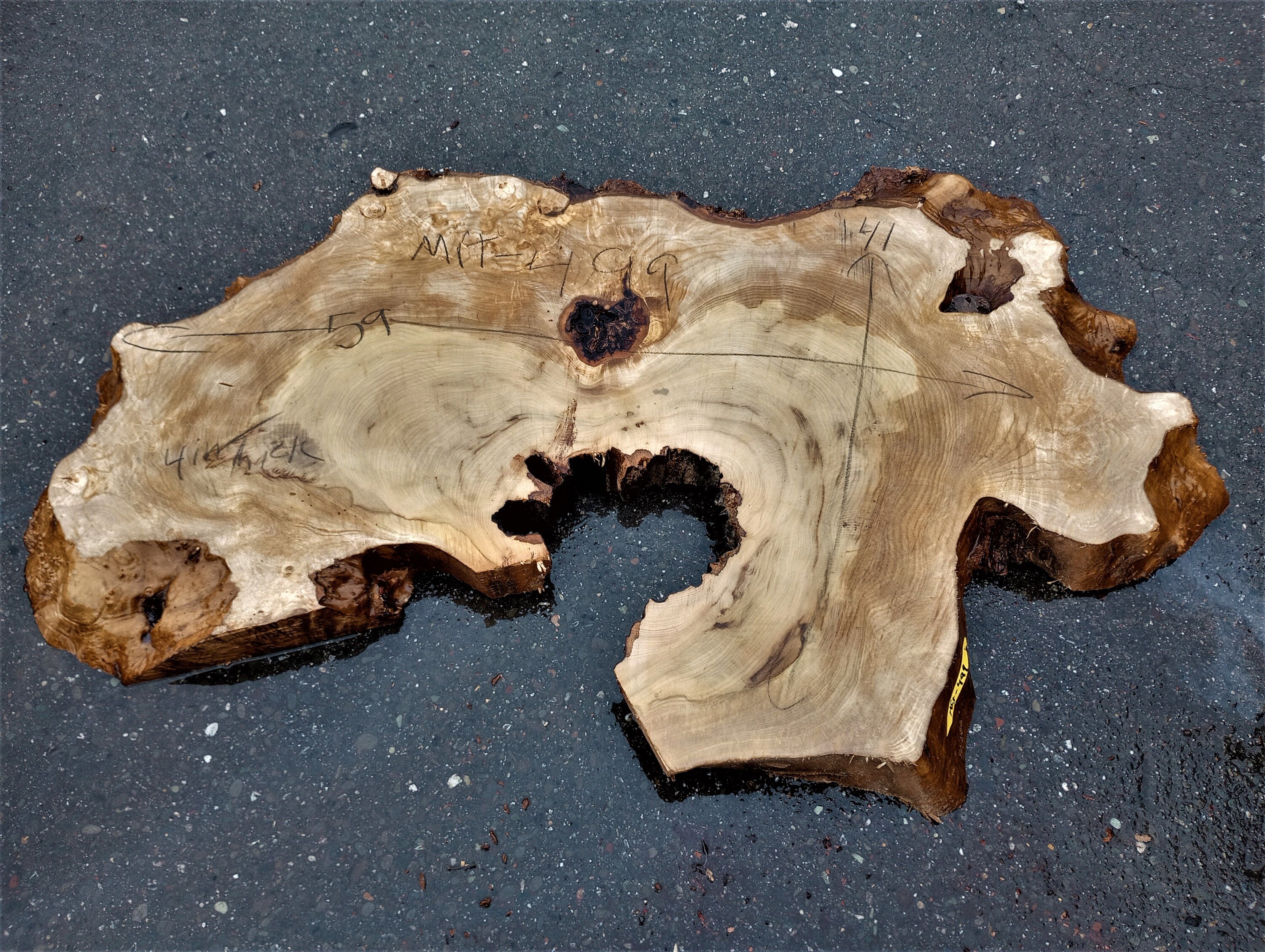 19+ How Much Is Myrtle Wood Worth