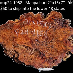 May include: A raw Mappa burl wood slab featuring intricate, swirling grain patterns in shades of amber, brown, and deep orange. The surface displays the text 21x15x7 and pcap24-1958 written in white, with a jagged, organic outer edge.