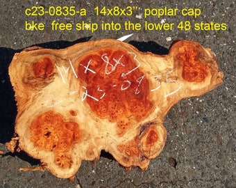 Mappa burl | Poplar | burl slab | wood craft ideas | DIY wood | c23-0835