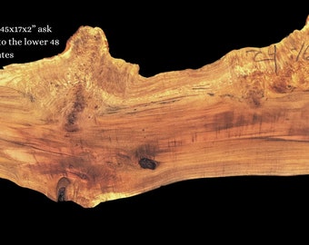 Maple burl | live edge slab | DIY craft ideas | River Table | 24-1623-Ma