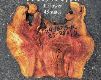 Redwood slab | Redwood Burl | Lace Burl | DIY | R24-1673