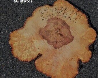 Maple Burl slab | live edge | cookie cut | DIY | End Table | Ma24-1638