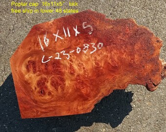 Mappa burl | Poplar | burl cap | wood turning ideas | DIY crafts | c23-0830