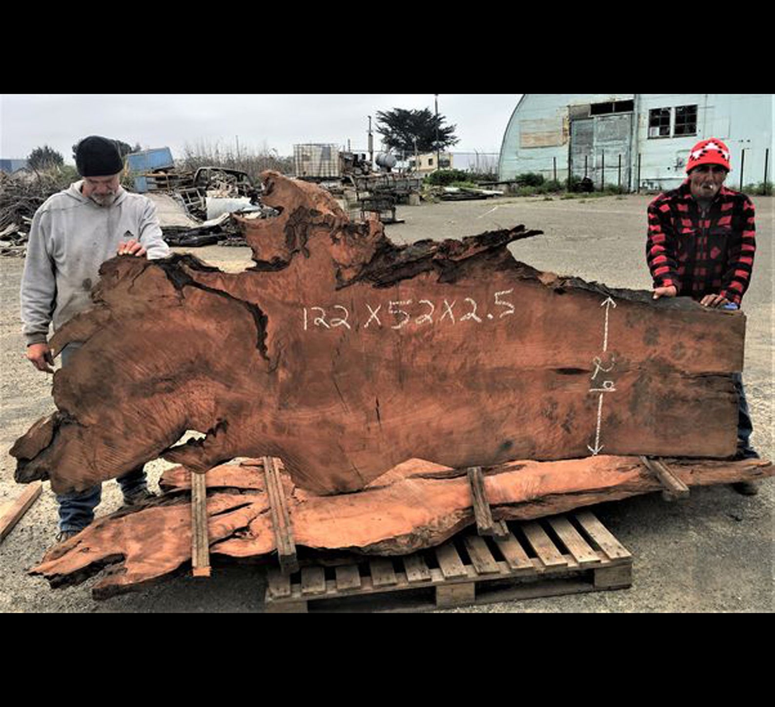 Gran losa de secuoya / borde en vivo / secuoya rizada / | Etsy