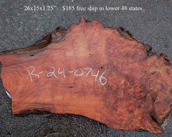 Redwood Burl Slab | DIY craft wood | Table | Redwood | R24-0746