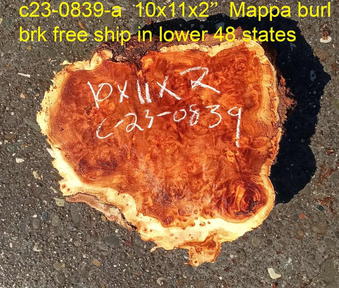 Mappa Burl | Poplar | Burl Slab | Wood Craft Ideas | DIY Wood | C23 ...