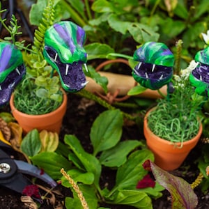 Potted Man-Eating Plants| Carnivorous Plants| Audrey 2| Little Shop of Horrors| Spooky Potted Carnivorous Plants - Feed Me Seymour!