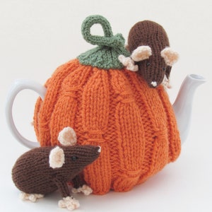 Harvest Pumpkin Tea Cosy Knitting Pattern image 5