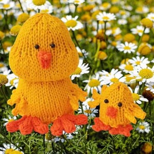 May include: Two knitted yellow chicks with orange beaks and feet, sitting in a field of white daisies.