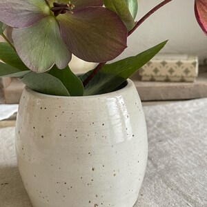 May include: A small, barrel-shaped ceramic vase with a glossy off-white glaze and dark brown speckles throughout. The vase contains several hellebore flowers with muted purple and green petals and dark green leaves extending from the opening.