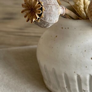 May include: A small, off-white ceramic vase with a rounded shape and vertical grooves near the base. The vase holds dried seed pods and wheat stalks, creating a natural, rustic aesthetic. The vase has small brown speckles.