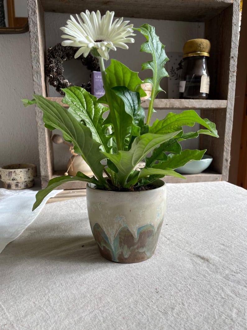 May include: A single white gerbera daisy with a dark center, featuring long, serrated green leaves, planted in a cylindrical ceramic pot with a reactive glaze finish showing blended tones of cream, light blue, and earthy brown at the base.