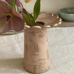 May include: A light pink ceramic vase with a scalloped rim and a distressed, textured finish. The vase has a cylindrical body that widens slightly at the top and contains a single dark purple hellebore flower with green leaves and a small dried stem.