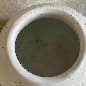 May include: A close-up of a white ceramic bowl with a wide, rounded rim and a circular opening. The bowl has small brown speckles and a slightly textured surface. The interior is a muted grey colour.