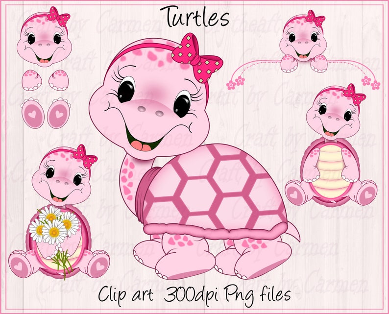 Turtle Clip Art Pink Turtle Cute Turtles Zoo Jungle - Etsy
