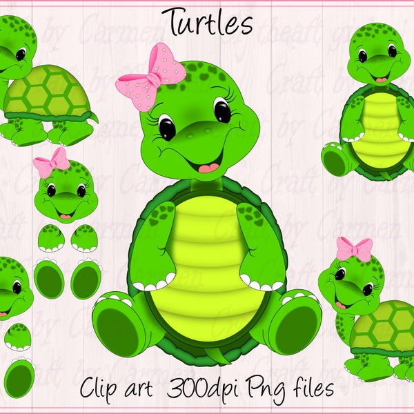 Turtle clip art, cute turtles, zoo, jungle, safari, baby shower, baby turtle, ( personal & small business use). Transparent background
