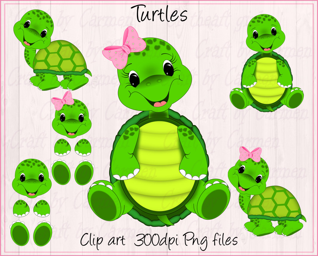 Turtle Clip Art, Cute Turtles, Zoo, Jungle, Safari, Baby Shower, Baby Turtle,  Personal & Small Business Use. Transparent Background - Etsy