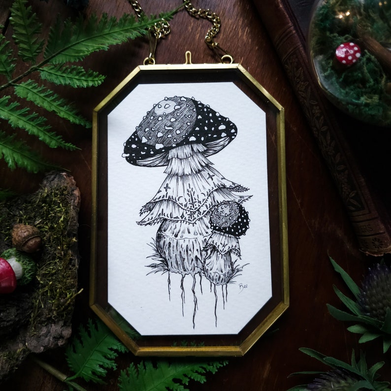 ORIGINAL Gothic Lace Mushrooms Framed Floating Drawing Pen and Ink Art, Botanical Wall Decor image 1