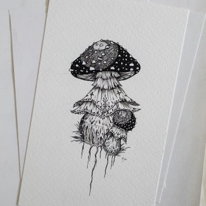 ORIGINAL Gothic Lace Mushrooms Framed Floating Drawing Pen and Ink Art, Botanical Wall Decor image 2