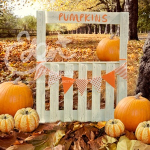 Digital Download Fall Autumn Backdrop Background Pumpkin Stand Orange Flags Outdoors Prop Scene Baby Child Toddler JPG file