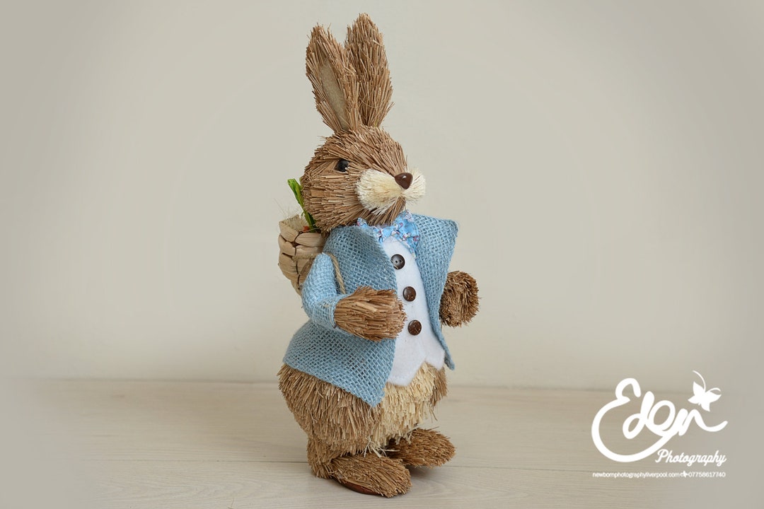 Easter Bunny Straw Rattan Standing Shelf Ornament, Peter Rabbit Carrot ...