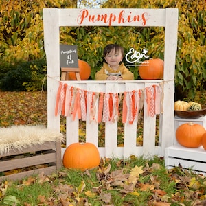Digital Download Fall Autumn Backdrop Background Pumpkin Stand Orange Flags Outdoors Prop Scene Baby Child Toddler JPG file