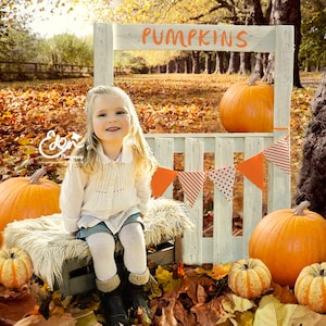 Digital Download Fall Autumn Backdrop Background Pumpkin Stand Orange Flags Outdoors Prop Scene Child Toddler layered PSD photoshop file