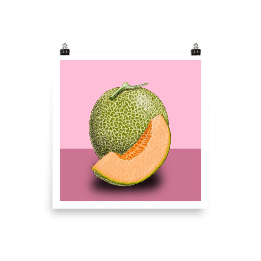 Cantaloupe Wall Art Melon Print Square Art Pink and Green - Etsy Ireland