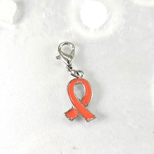 May include: Silver charm with a bright orange ribbon, a symbol of awareness for multiple causes.