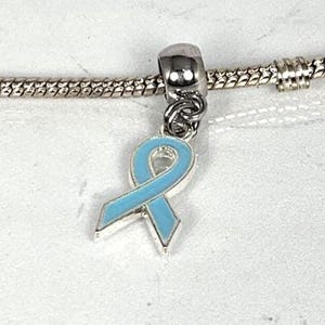 May include: A silver charm with a light blue ribbon design. The charm is attached to a silver chain. The ribbon is a symbol of awareness and support.