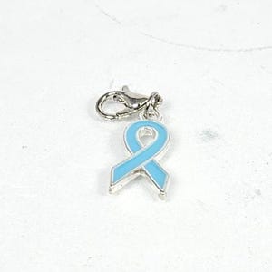 May include: A silver-toned charm with a light blue ribbon design. The ribbon is outlined in silver and has a clasp for easy attachment to a bracelet or necklace. The charm is a symbol of awareness.