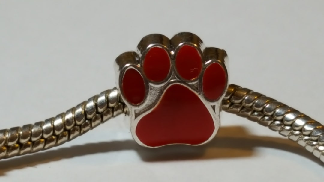 Cute Dog Paw Print Charm Rainbow Chakra Healing 8mm Bead Stretch Bracelet – Adjustable, Nickel-Free Gift