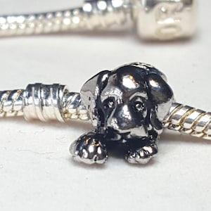 Labrador Charm, Lab Charm, Golden Retriever Charm, Dog Charm, - Fits all Designer and European Charm Bracelets
