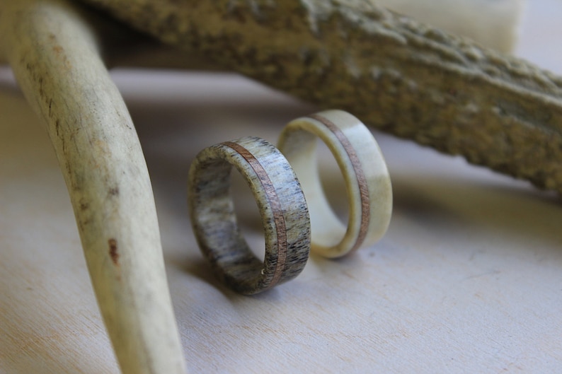 White Antler Ring Deer Antler Ring with Oak Wood Inlay made from Fine Selected Antler