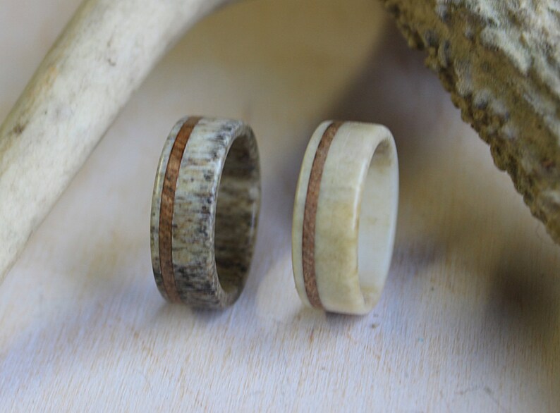 White Antler Ring Deer Antler Ring with Oak Wood Inlay made from Fine Selected Antler