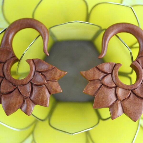Ear Gauges Etsy