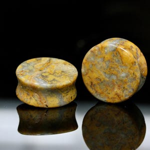 May include: A pair of circular ear plugs crafted from polished stone featuring a mottled pattern of mustard yellow, earthy brown, and grey tones. The plugs have a smooth, concave side profile and a glossy finish that reflects light on the surface.