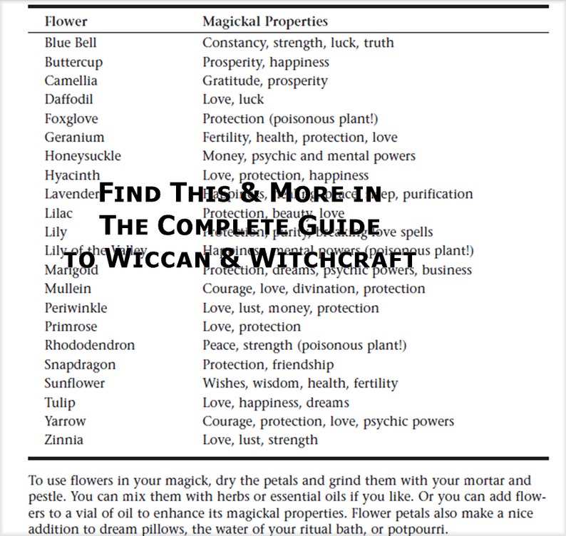 Beginner Witch A Complete Guide to Wicca and Witchcraft/ Over | Etsy