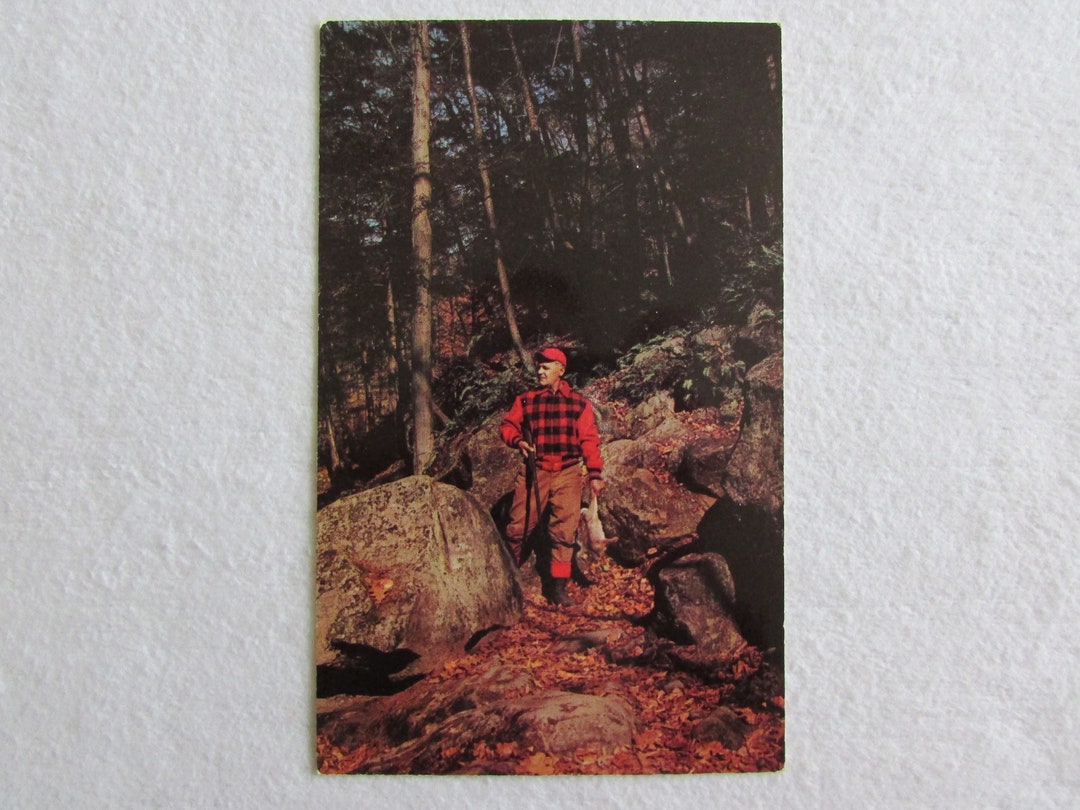 Hunting in the Pocono Mountains of Pennsylvania // Vintage Postcard // Cabin Decor // Lodge